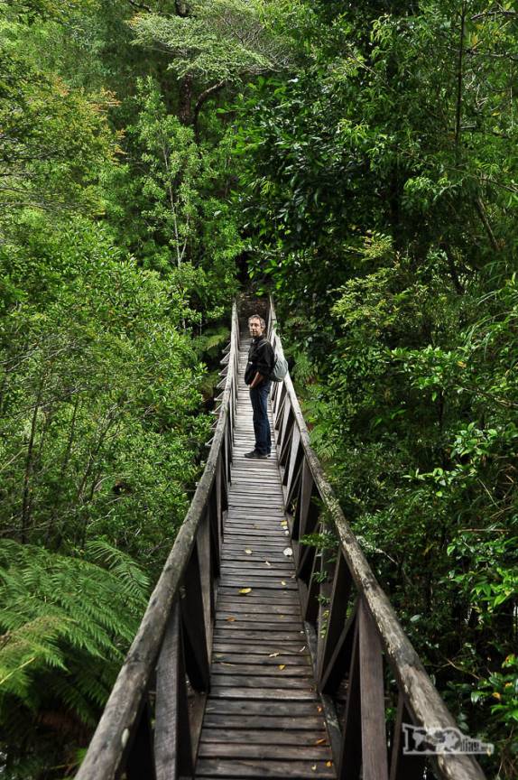 Caminhando em trilha no parque de Pumalín, região de Chaitén, na Carretera Austral, sul do Chile